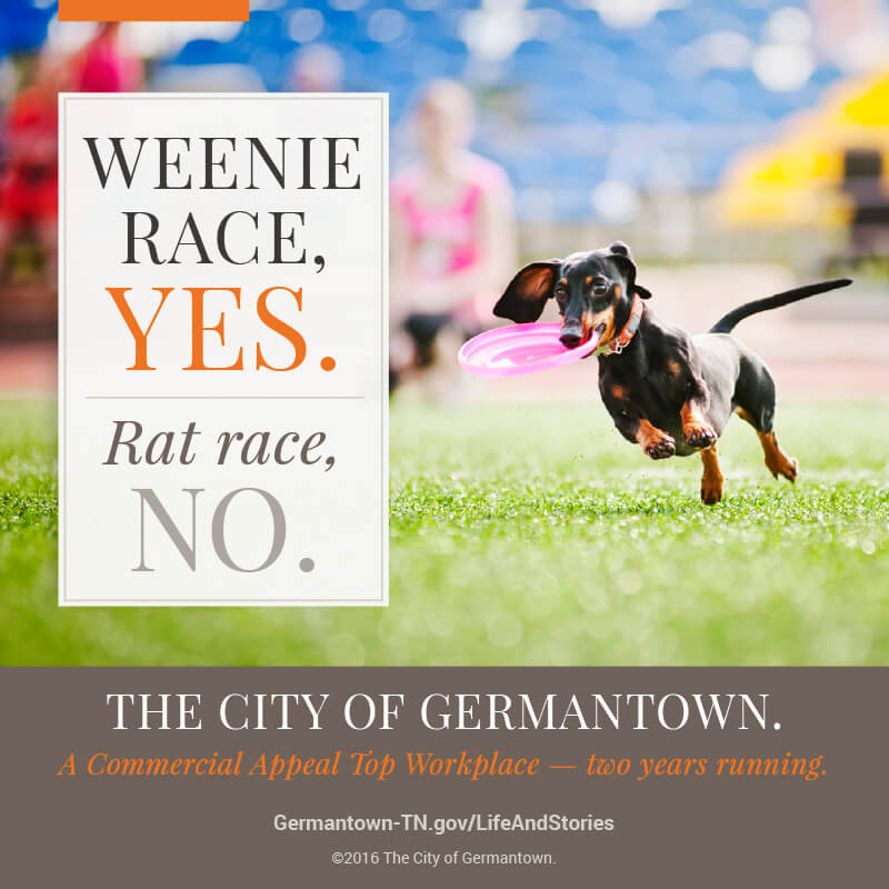 Ad for the City of Germantown, showing a running dachshund, with the headline weenie race yes, rat race no